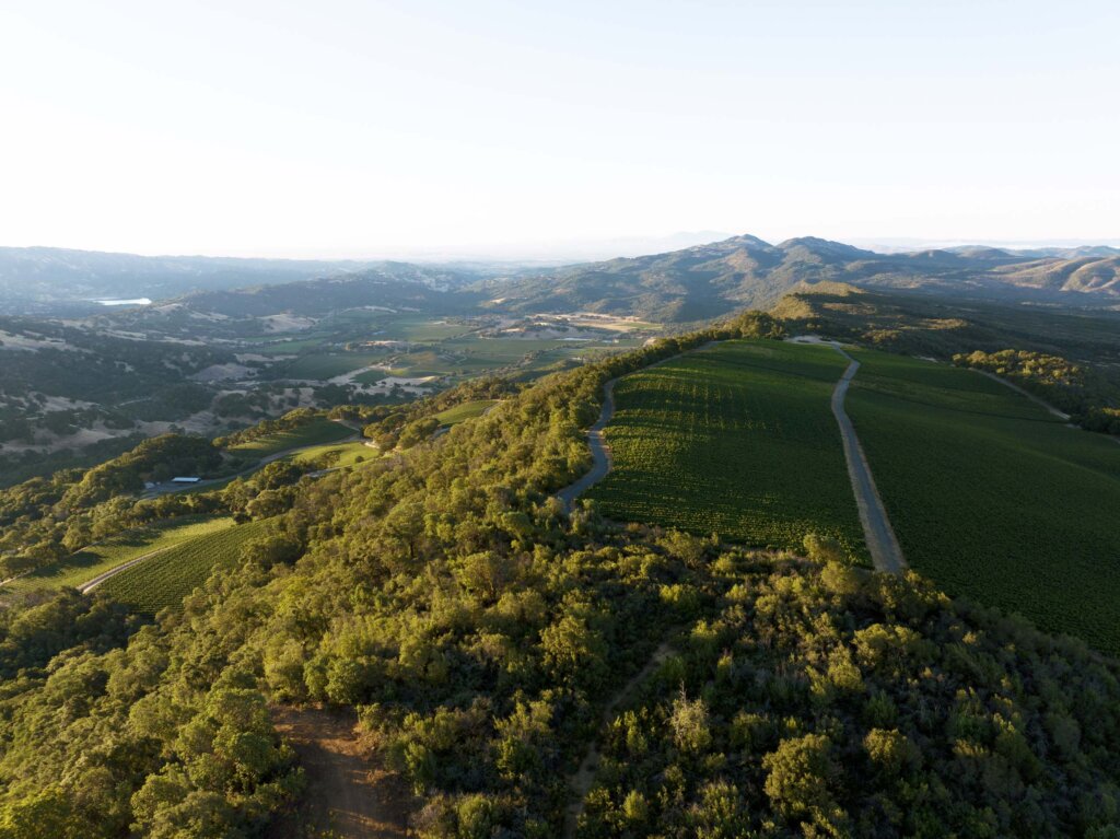 Aerial view of Waters Ranch, a hilly, green landscape with a mix of forested areas and agricultural fields under a clear sky.