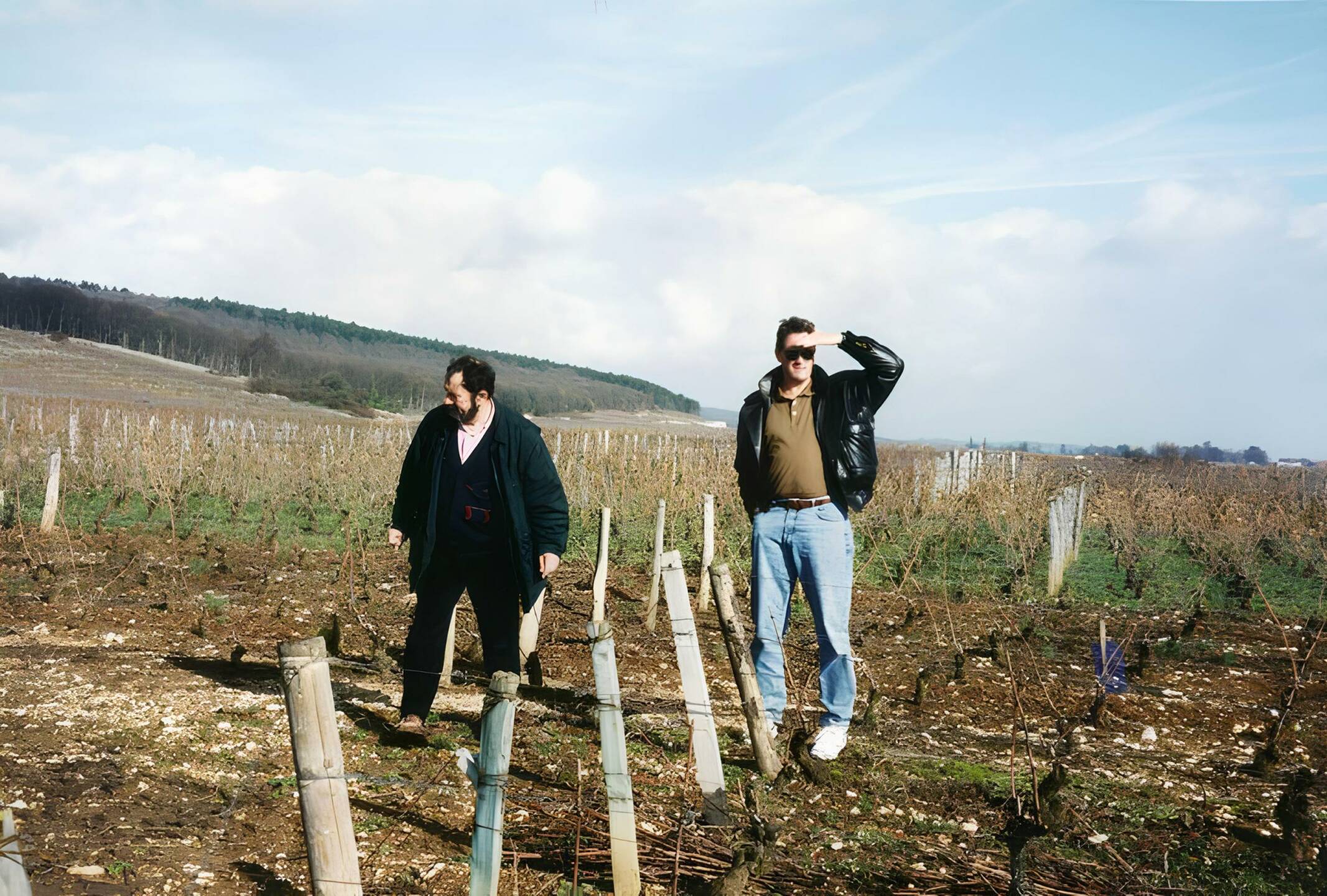 Two individuals are standing outdoors in a vineyard, one looking down at the ground and the other shading their eyes from the sun. There are rows of grapevines and hilly terrain in the background.