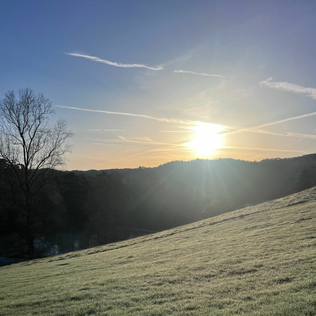 A sunrise over a grassy hill, with a bare tree on the left and a backdrop of rolling hills and forested areas. The sky is clear with thin, wispy clouds.