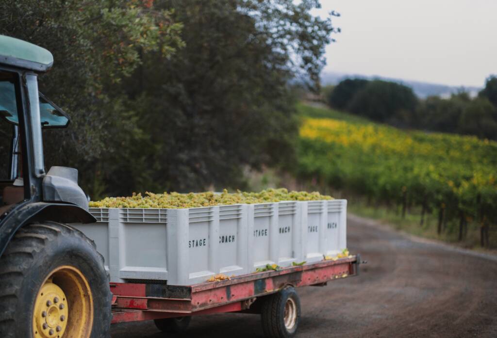 A tractor pulls a trailer loaded with large crates of harvested grapes through a vineyard.