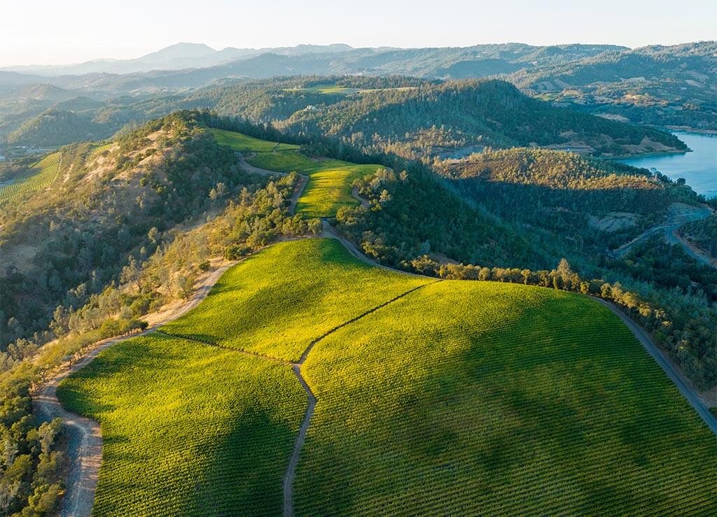 Upper Range vineyard aerial.